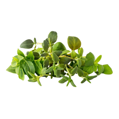 Click and Grow Smart Garden Refill 9-pack - Italian Herbs Mix