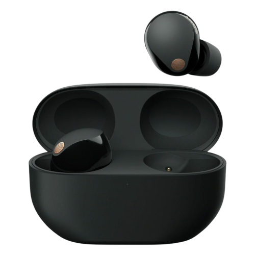 Sony WF-1000XM5 Wireless Noise Cancelling Headphones - Black