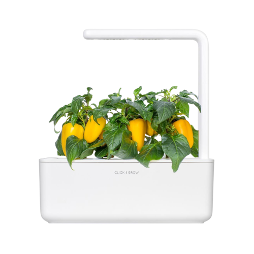 Click and Grow Smart Garden Refill 3-pack - Yellow Sweet Peppers